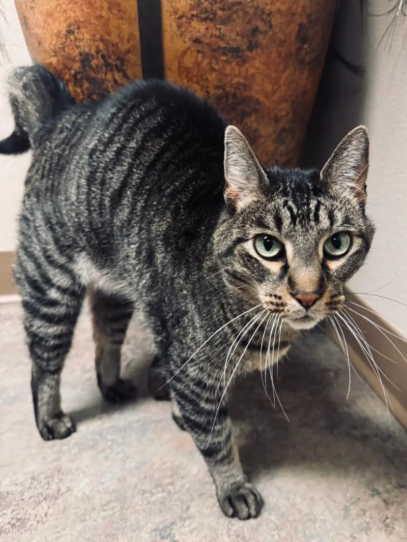 Burt Meet At Avenue thumbnail 6