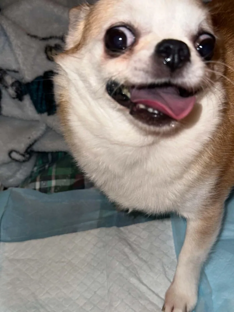 Ethel thumbnail 2