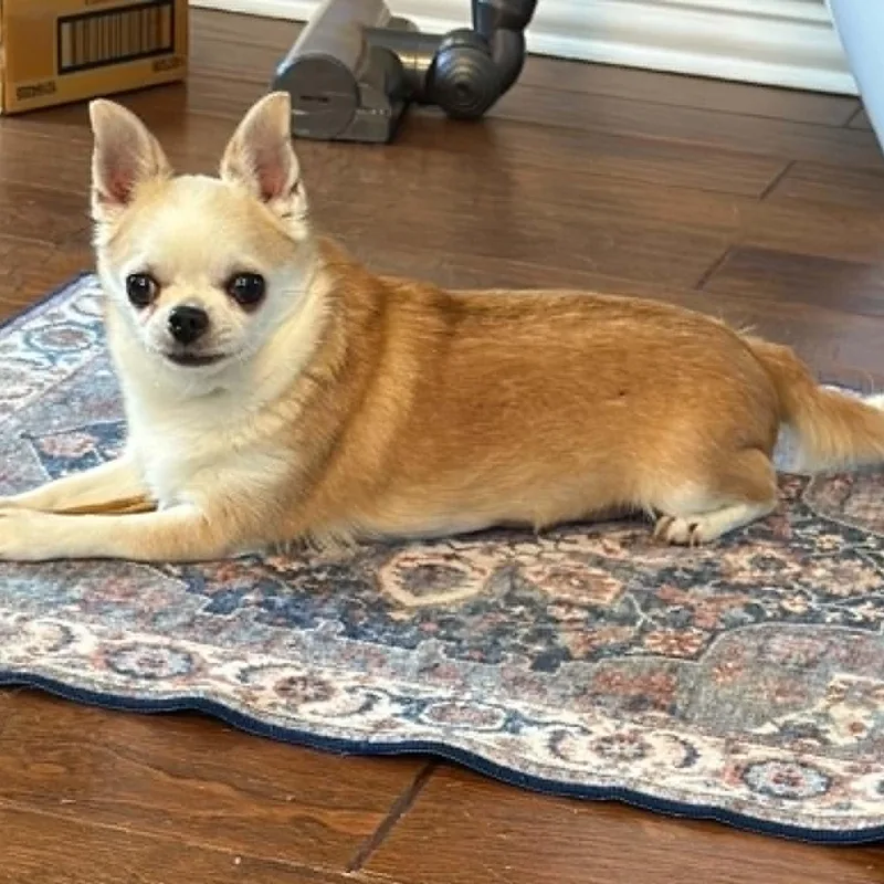 Ethel thumbnail 3