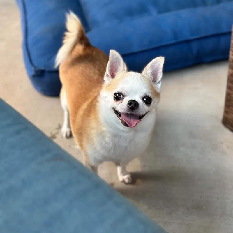 Ethel thumbnail 5