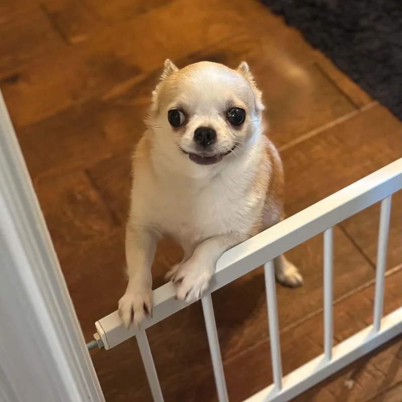 Ethel thumbnail 6