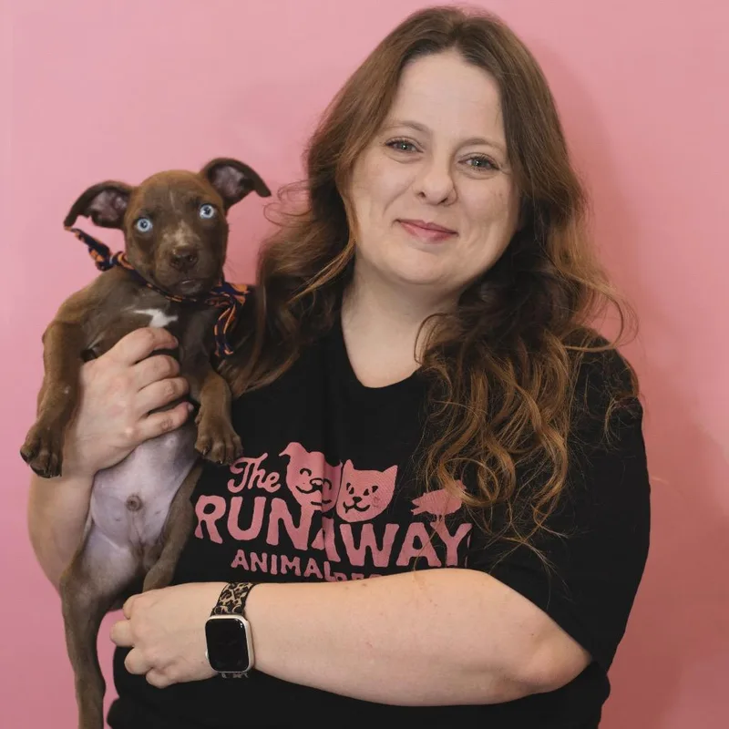 Dave Barktista thumbnail 2