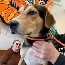 Snoop thumbnail 5