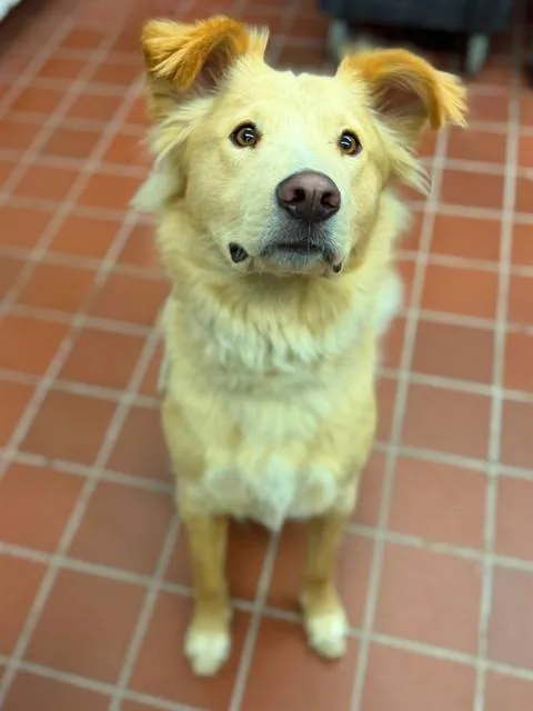Luka