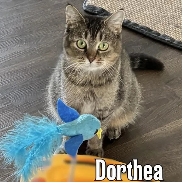Dorthea
