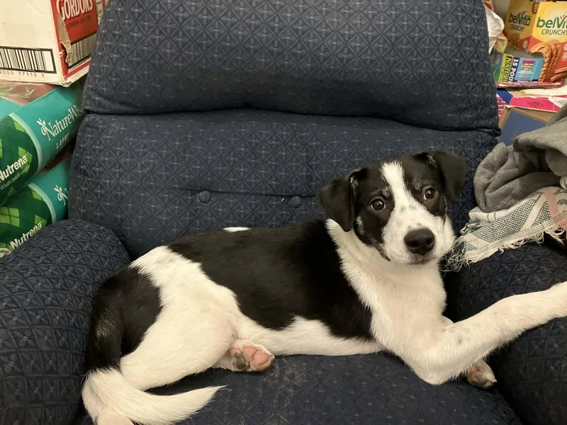 Clara Rose thumbnail 2