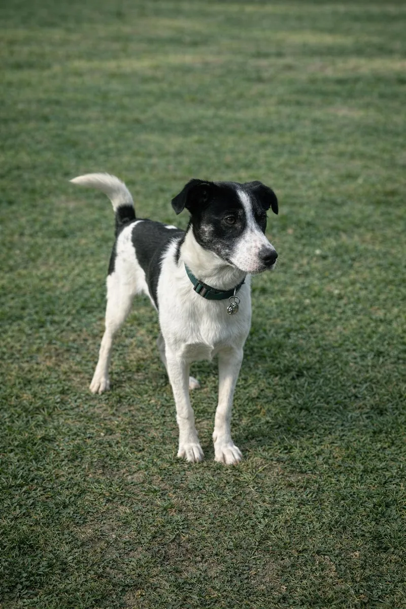 Clara Rose thumbnail 3