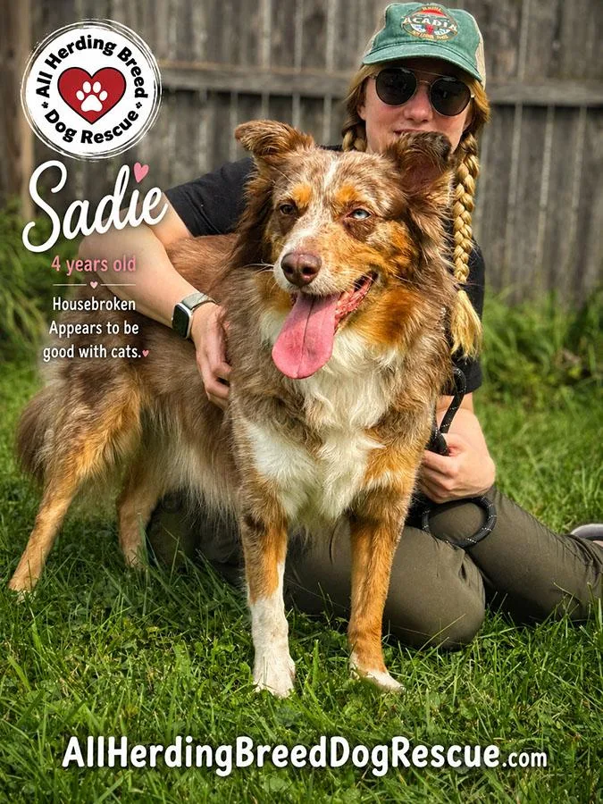 Sadie thumbnail 4