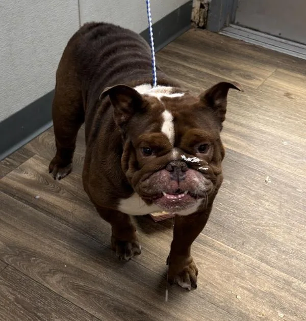 Questionnaire thumbnail 2