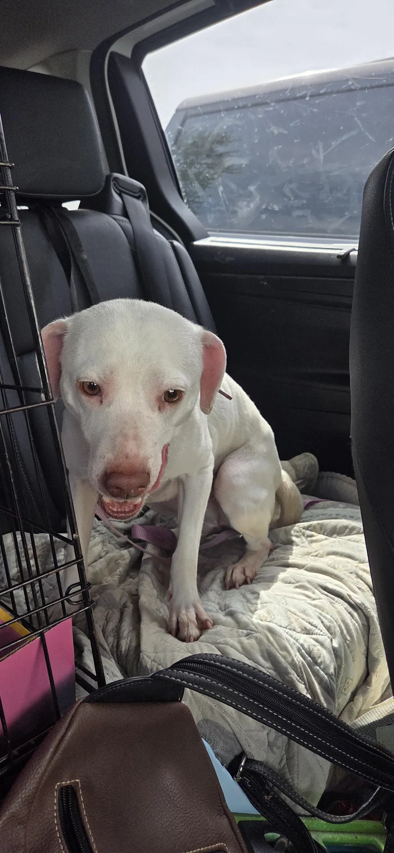 Coco Chanel thumbnail 2