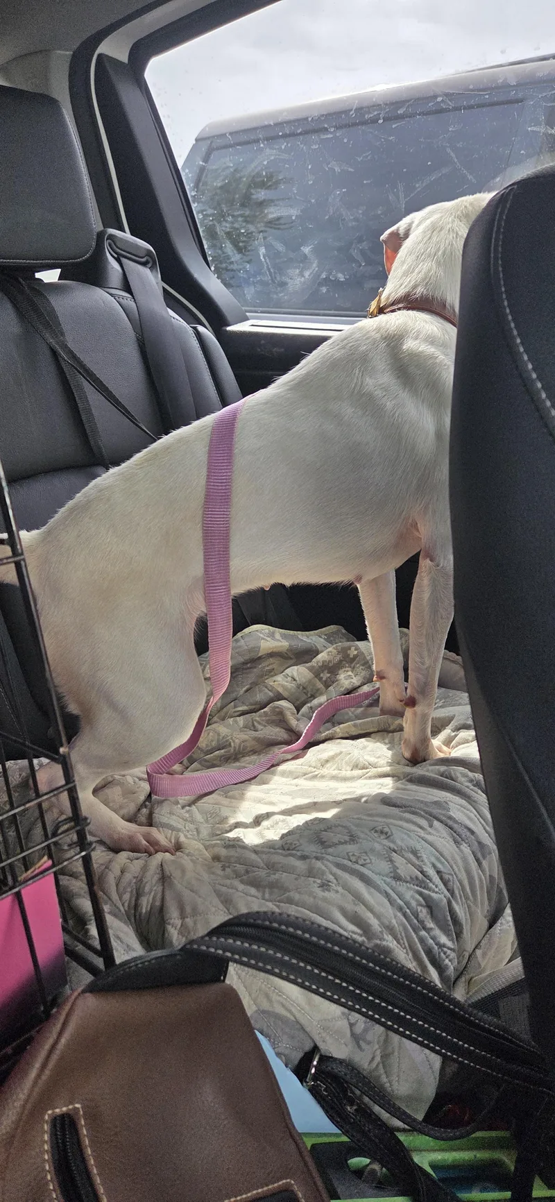 Coco Chanel thumbnail 3