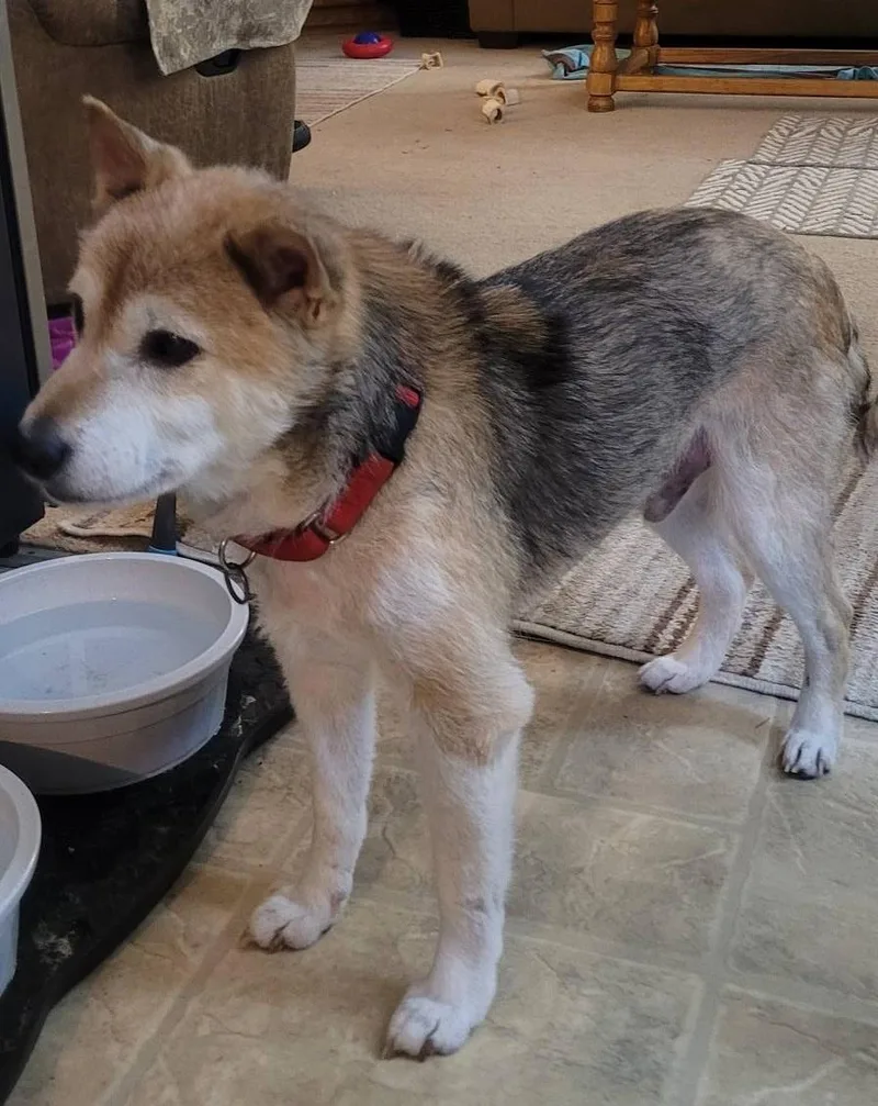 Mr. Clean thumbnail 2