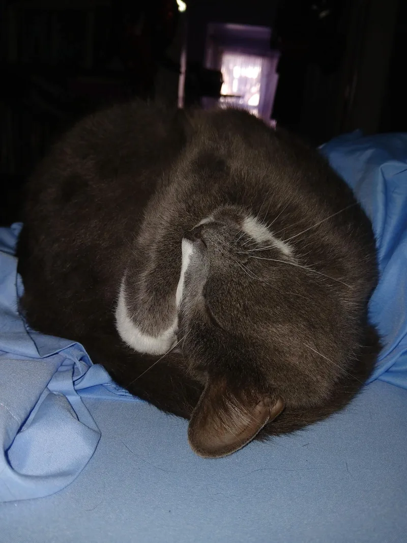 Stickers thumbnail 2