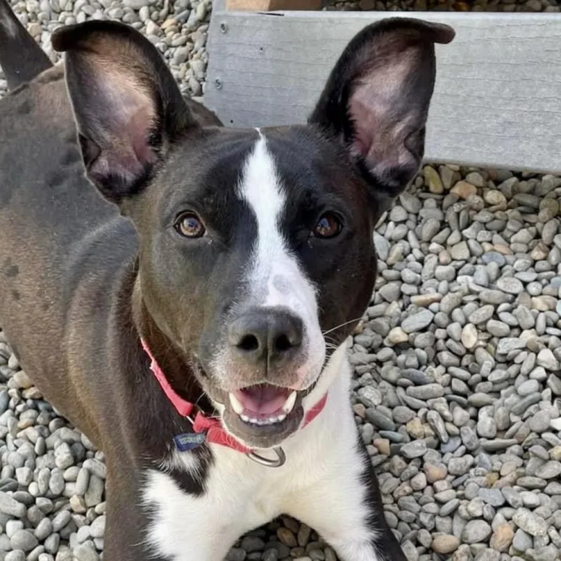 Jae'lynn thumbnail 2