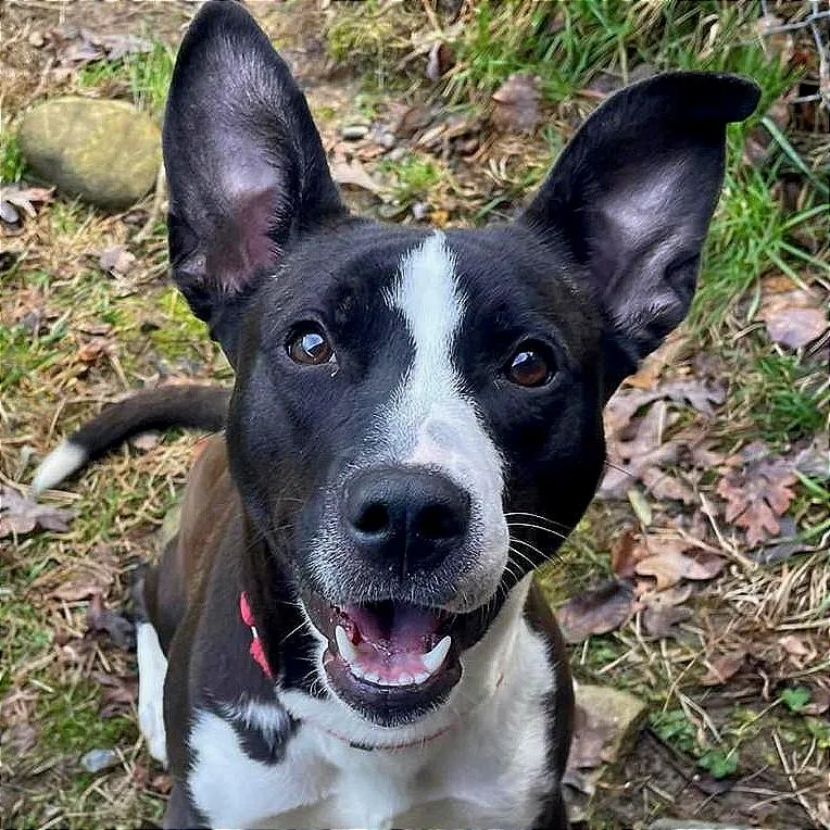 Jae'lynn thumbnail 3