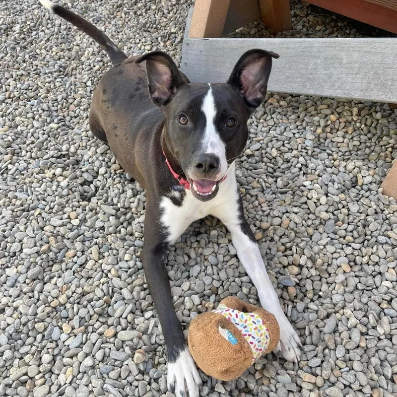 Jae'lynn thumbnail 4