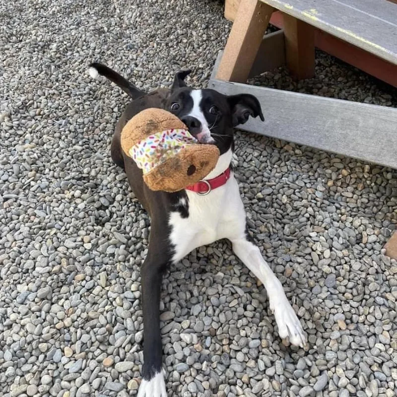 Jae'lynn thumbnail 5