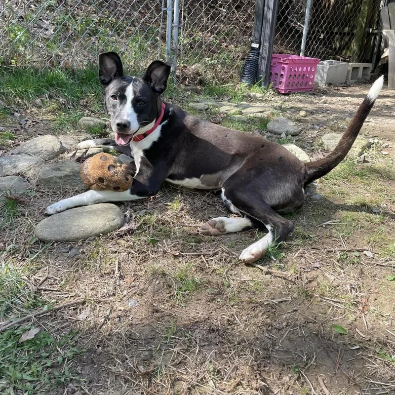 Jae'lynn thumbnail 6