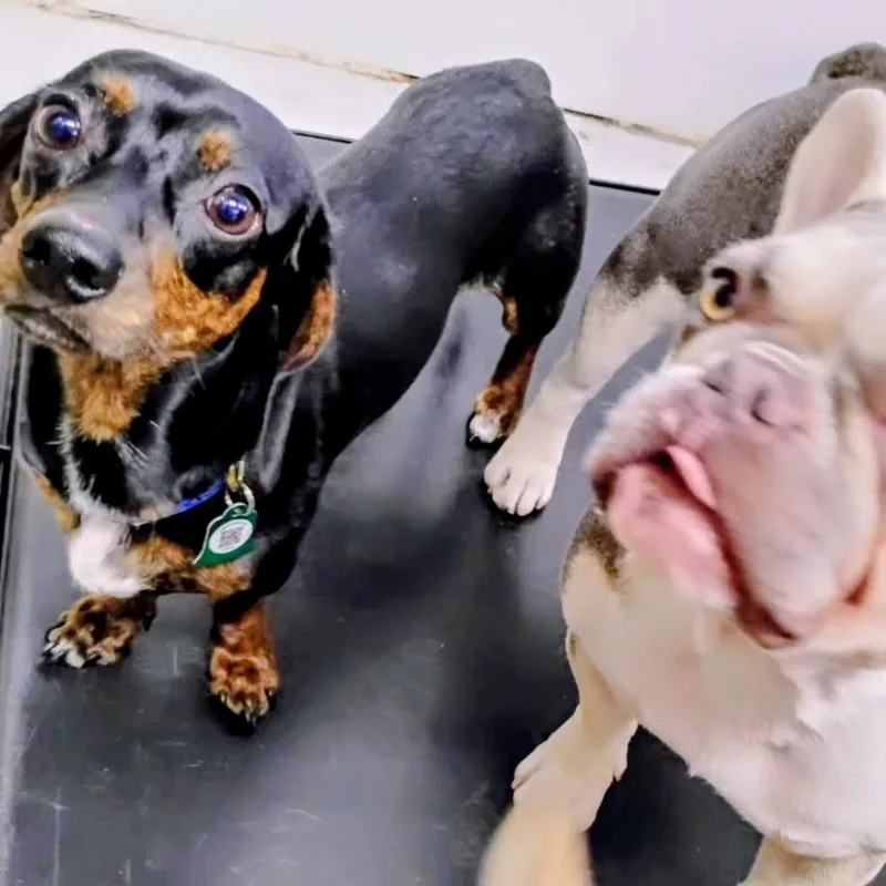 Toby Thomas thumbnail 2