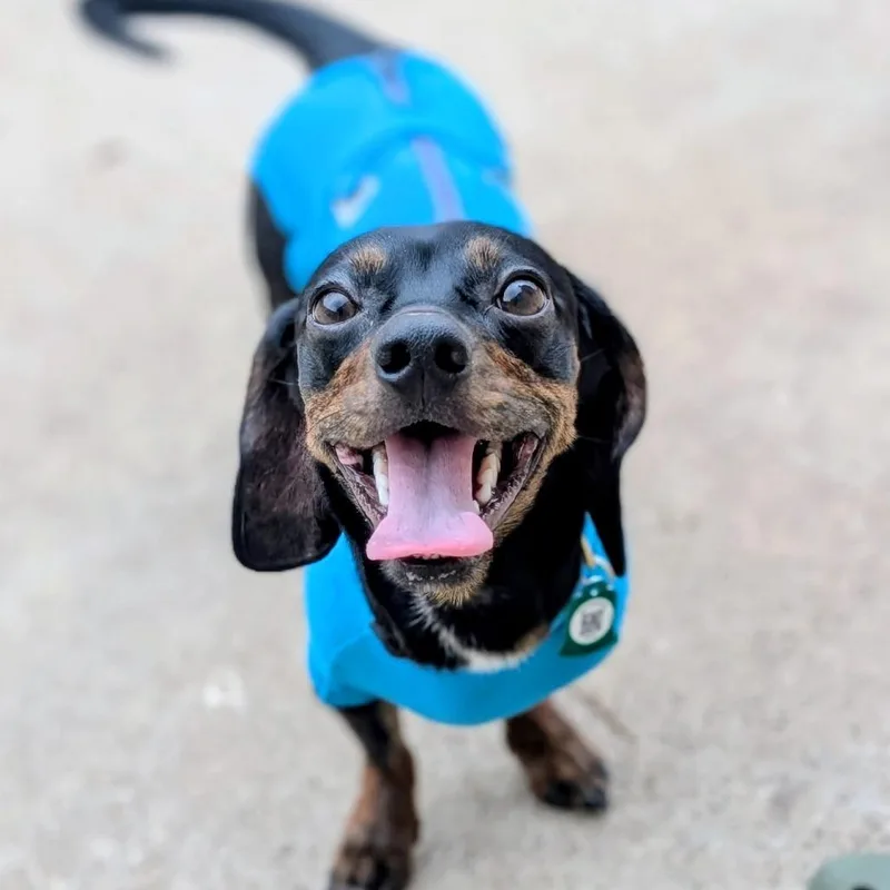 Toby Thomas thumbnail 4