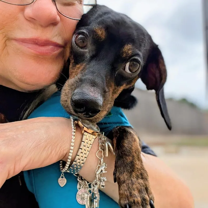 Toby Thomas thumbnail 5