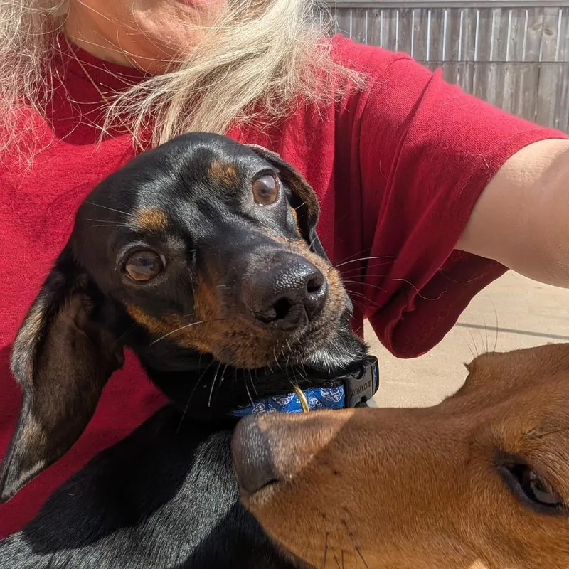 Toby Thomas thumbnail 6