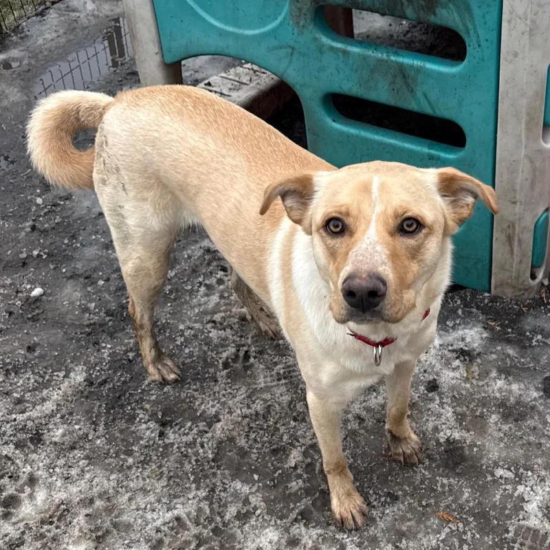 Frannie Fka Meef thumbnail 2