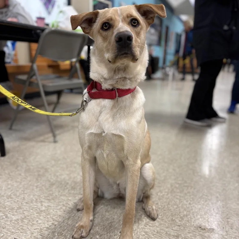 Frannie Fka Meef thumbnail 3