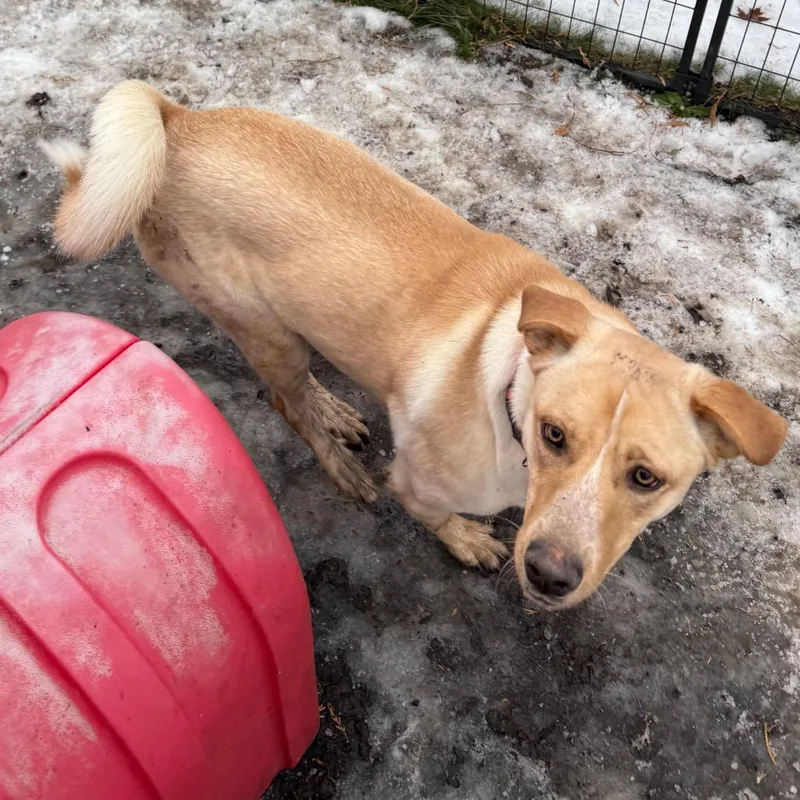 Frannie Fka Meef thumbnail 4