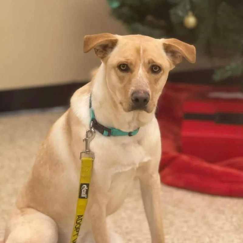 Frannie Fka Meef thumbnail 5