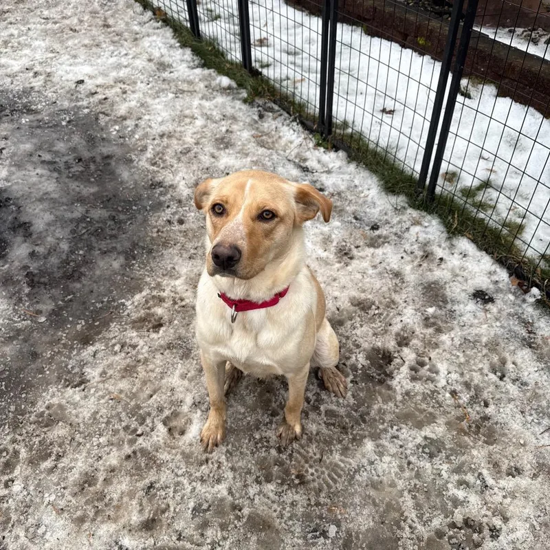 Frannie Fka Meef thumbnail 6