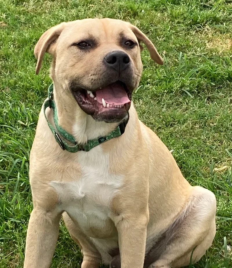 Antony thumbnail 3