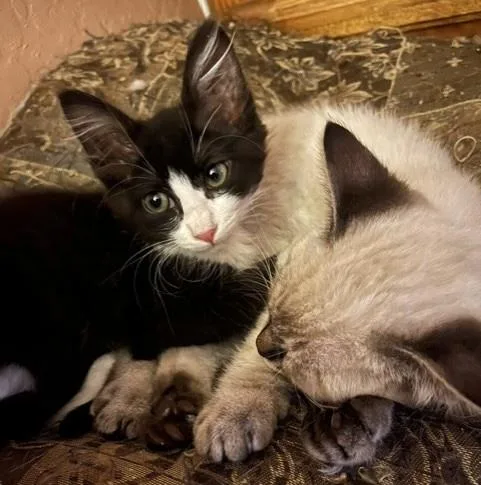 Tanker And Teenker 