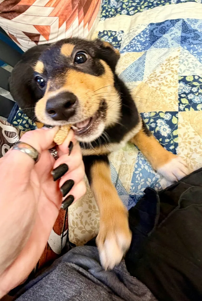 Missy thumbnail 3