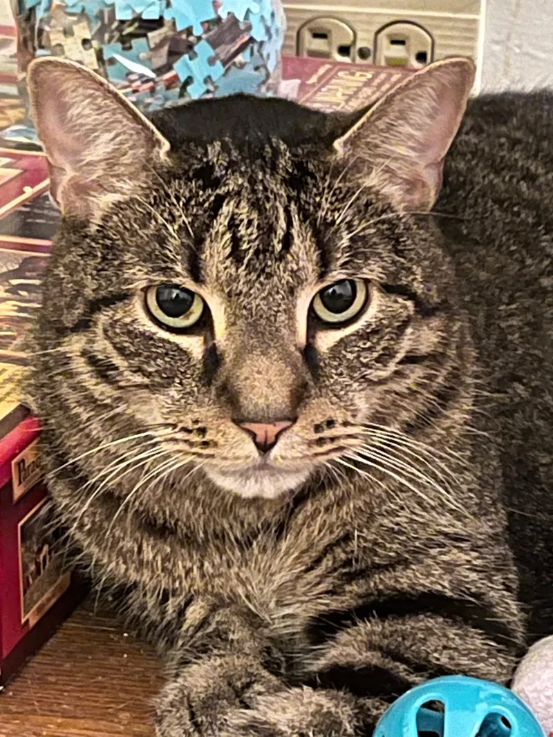 Zeppelin & Floyd thumbnail 2