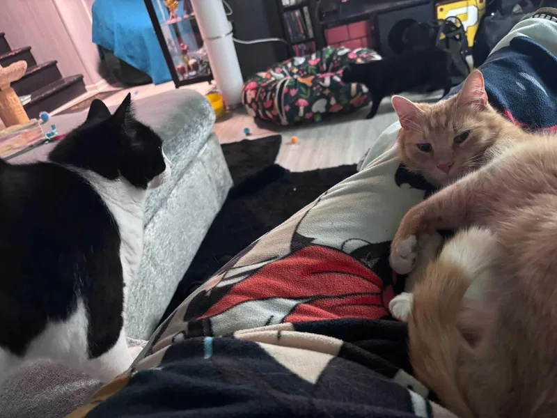 Kit Kat thumbnail 2