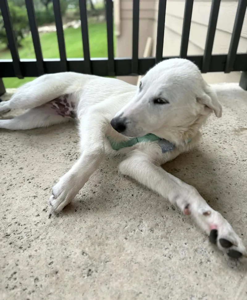 Lucky Sat thumbnail 2