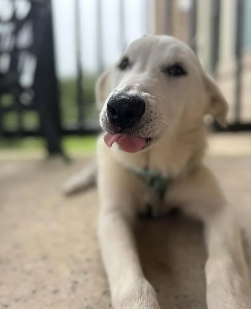 Lucky Sat thumbnail 5