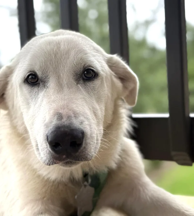 Lucky Sat thumbnail 6