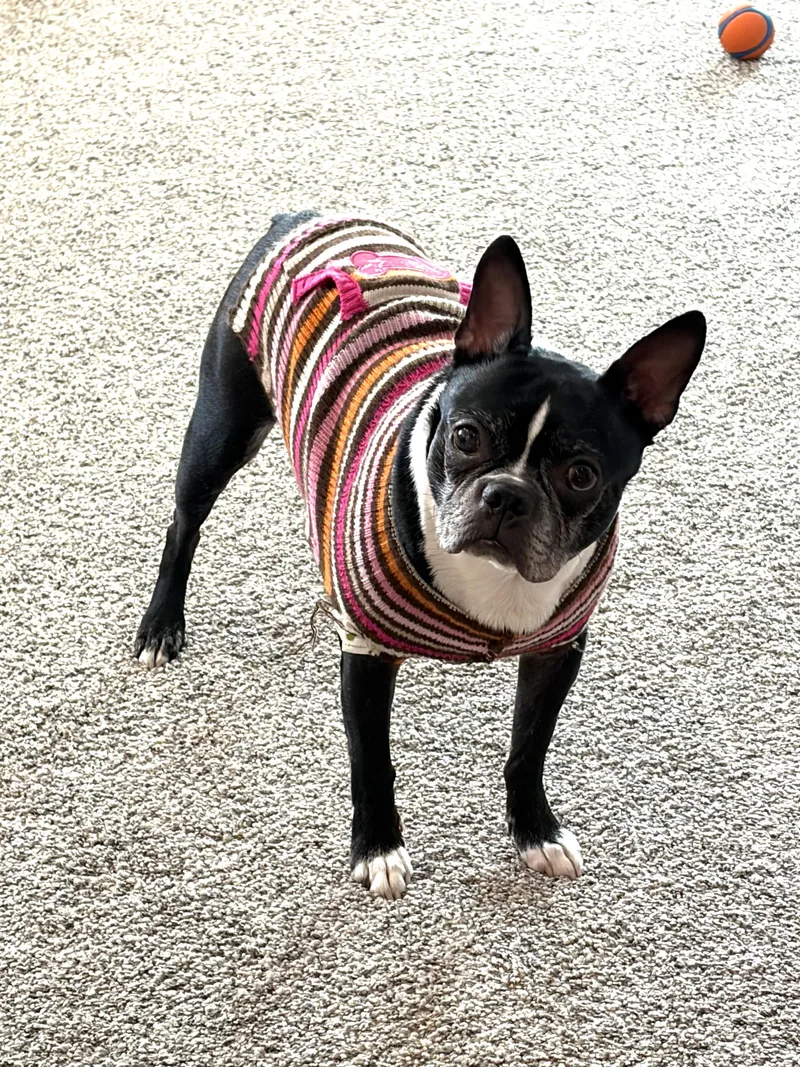 Hunter In Co thumbnail 2