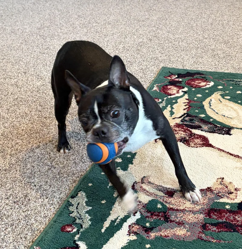 Hunter In Co thumbnail 4