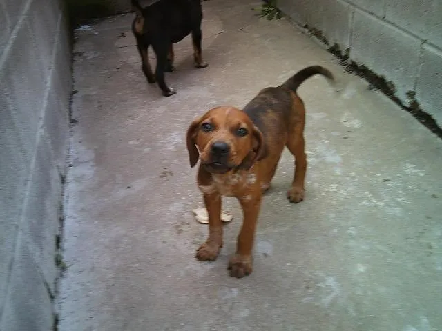 Rusty And Dusty