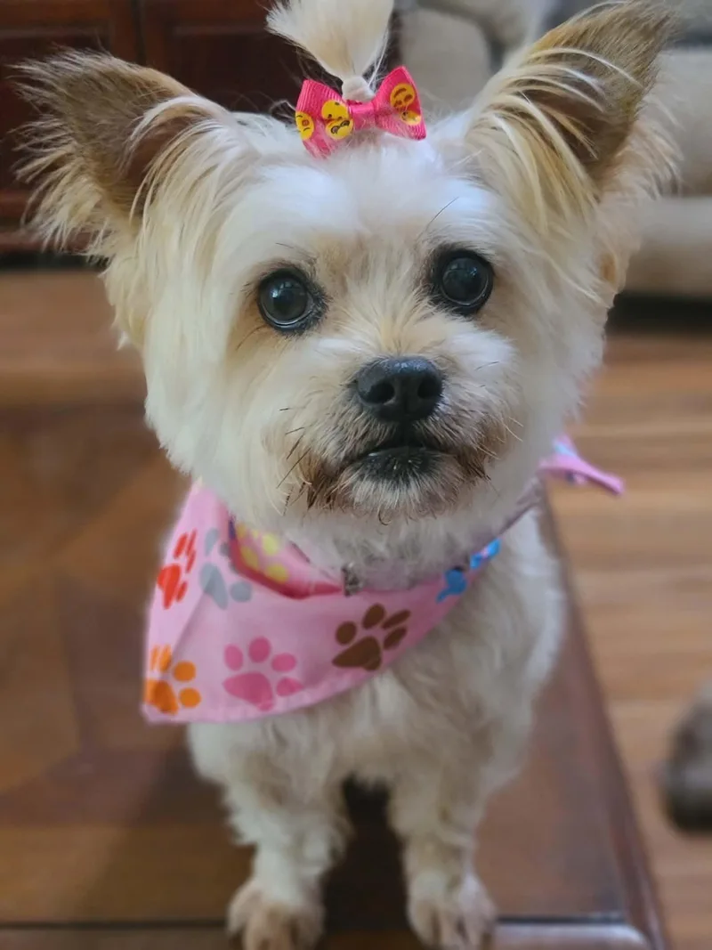 Lila Seago thumbnail 3
