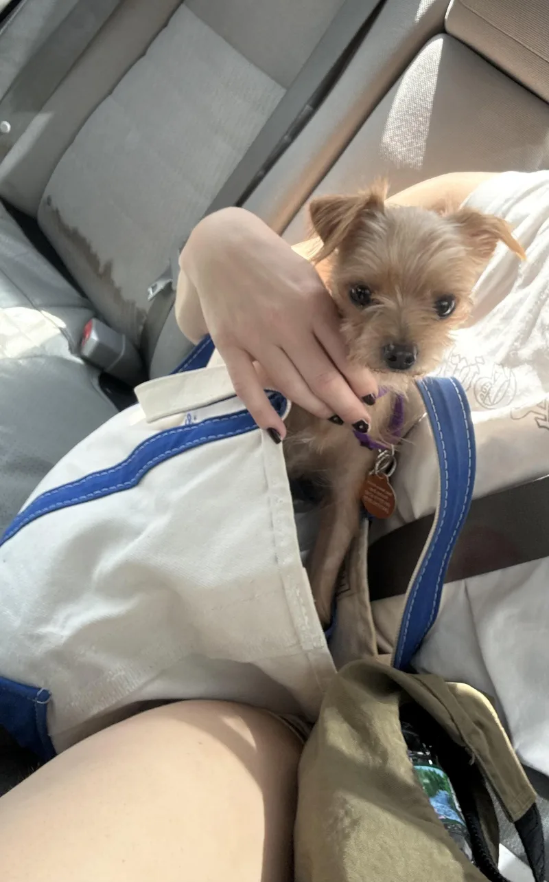 Remi