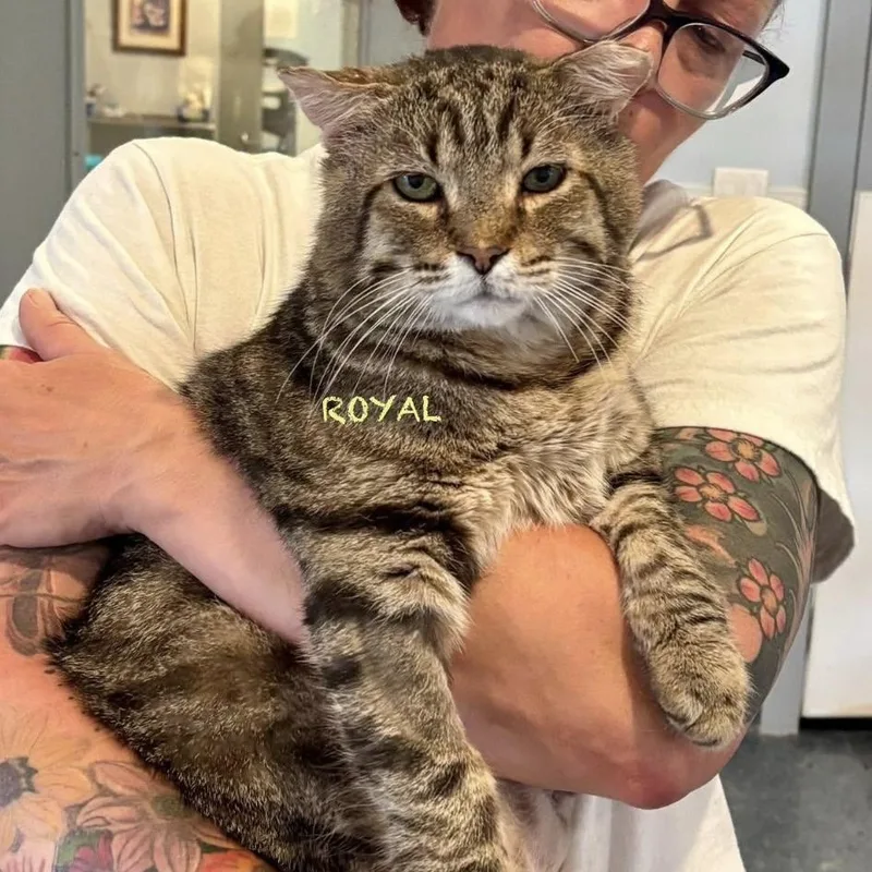 Royal
