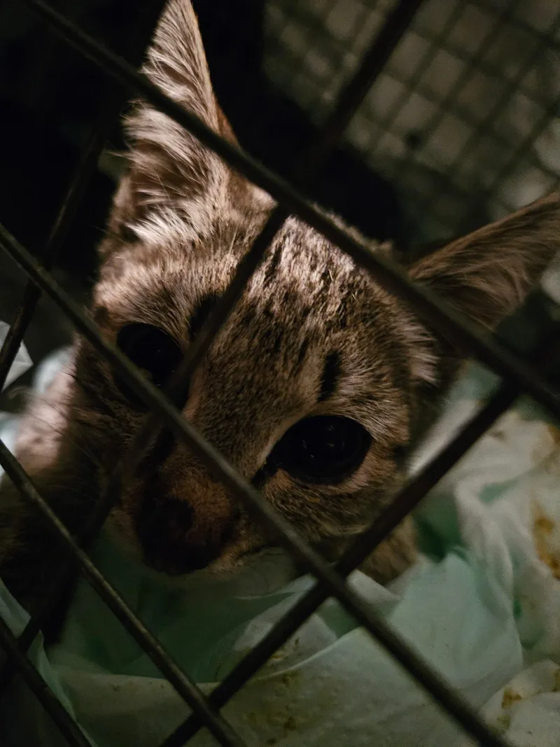 Sally thumbnail 5