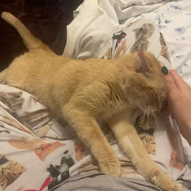 Happy  Special Needs thumbnail 2