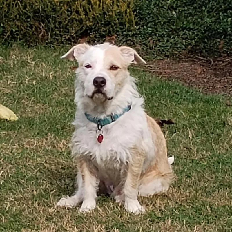 Falcor Now Conner thumbnail 5