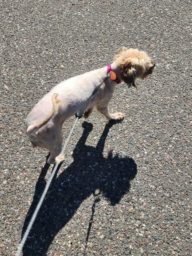 Maybelline thumbnail 2