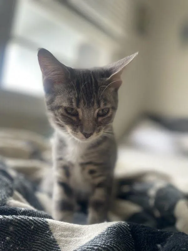 Daisy Lou thumbnail 2